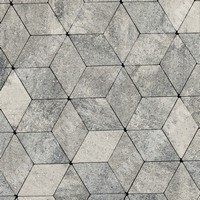 Тротуарная плитка Ромб практик 60 Stein Silver верхний прокрас mix основа - серый цемент 200*200*60мм Steingot